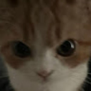 Meet your Posher, Kaida